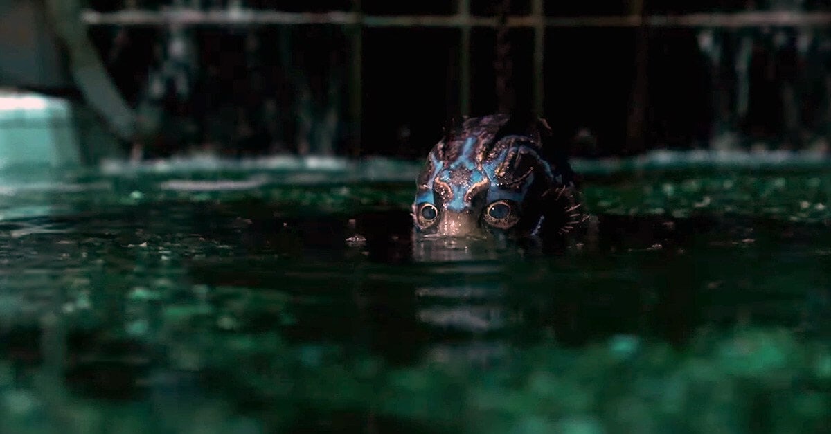 Shape of Water Creature